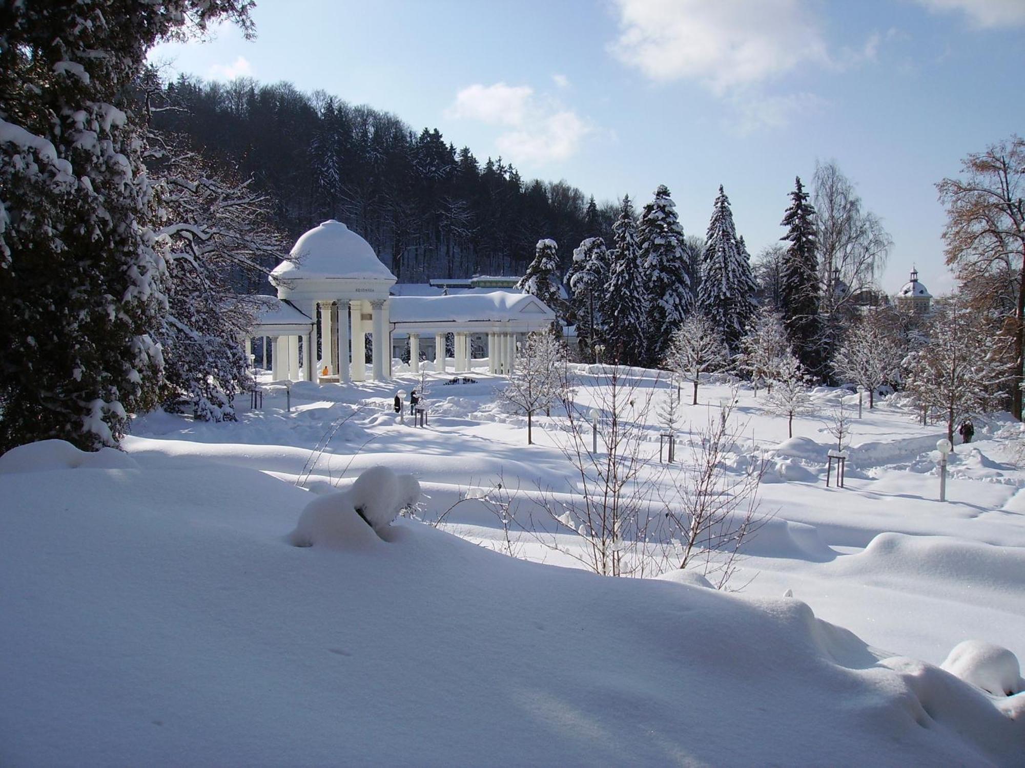 Villa Sonnenstrahl Маріанські Лазні Екстер'єр фото